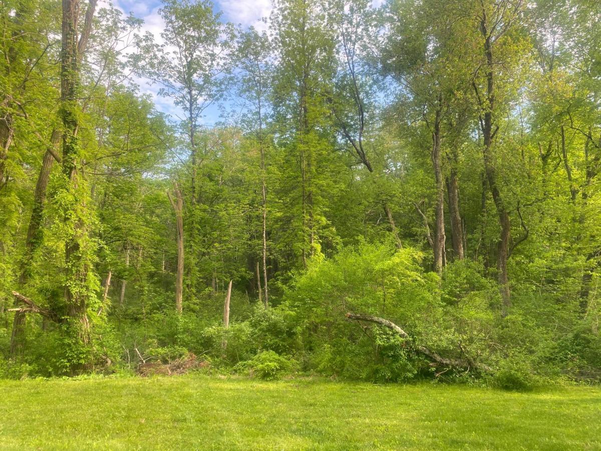 Newly Renovated 3Br Hudson Valley House Ulster Park Extérieur photo